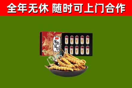 无为烟酒回收冬虫夏草礼盒.jpg