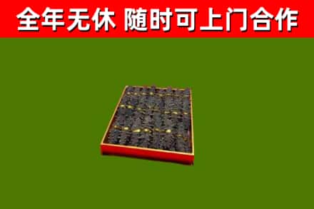 无为回收海参